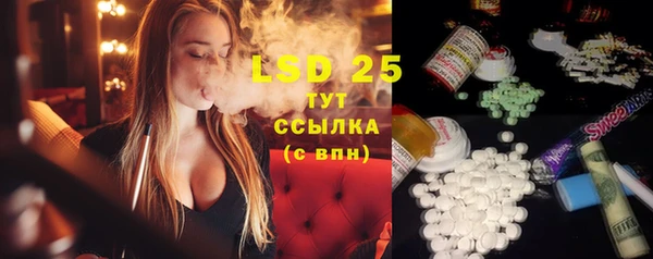 ПСИЛОЦИБИНОВЫЕ ГРИБЫ Верея
