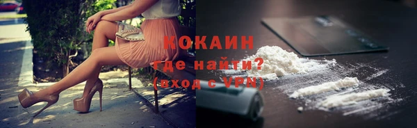 ПСИЛОЦИБИНОВЫЕ ГРИБЫ Верея