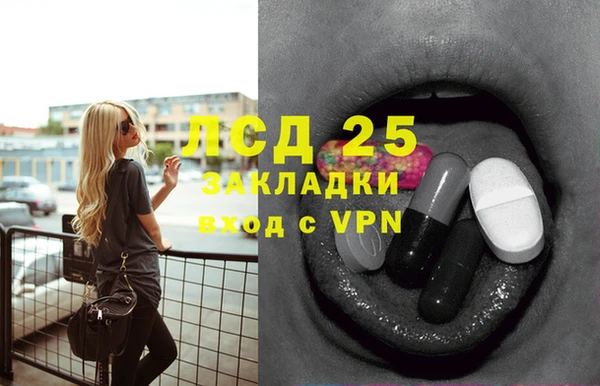 ПСИЛОЦИБИНОВЫЕ ГРИБЫ Верея