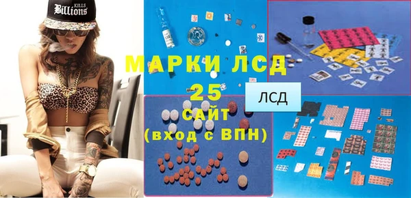 ПСИЛОЦИБИНОВЫЕ ГРИБЫ Верея