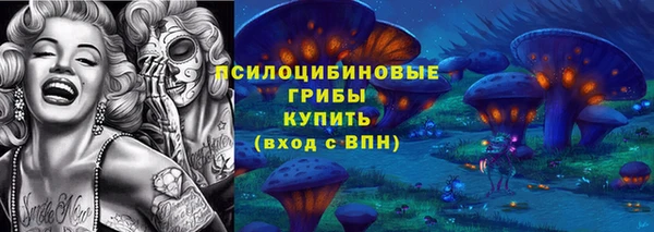 ПСИЛОЦИБИНОВЫЕ ГРИБЫ Верея