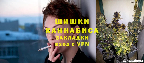 ПСИЛОЦИБИНОВЫЕ ГРИБЫ Верея