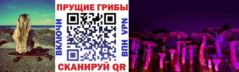 Галлюциногенные грибы MAGIC MUSHROOMS  Купить  Высоцк 